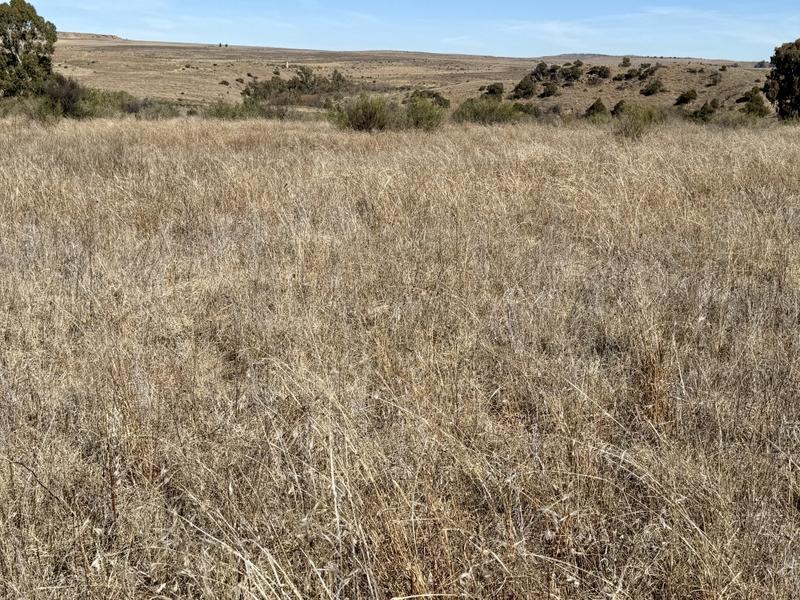 0 Bedroom Property for Sale in Lindley Free State